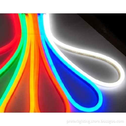 220V 120V 24V 12V RGB LED Neon Flex Light